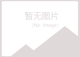 宁波北仑冰夏音乐有限公司